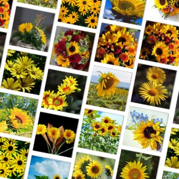 40pcs Aesthetic Sunflower stickers