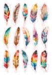 Feather.jpg